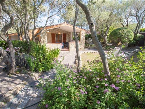 Ferielejlighed - 6 personer -  - Bassacutena - 07020