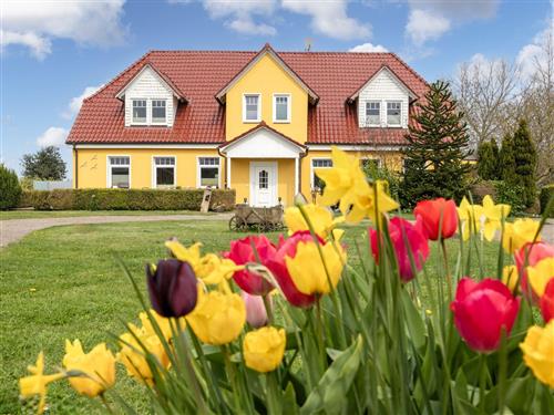 Ferielejlighed - 25 personer -  - Kägsdorfer Landweg - 18225 - Kühlungsborn