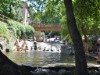 Bilde 12