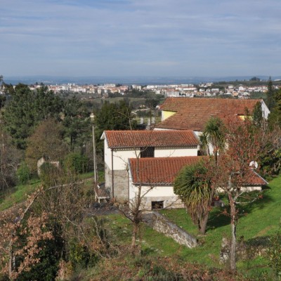 Billede 4