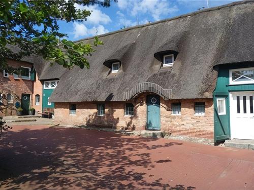 Ferieleilighet - 4 personer -  - Ohl Dörp - 25938 - Wrixum Auf Föhr