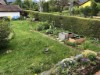 Image 16
