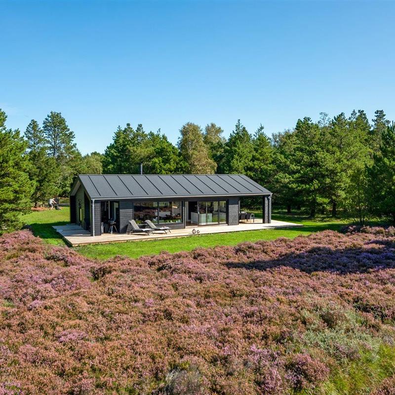 Sommerhus - 6 personer -  - Blåbærvej - Bolilmark - 6792 - Rømø