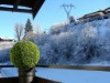 Bild 43