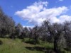 Bilde 6