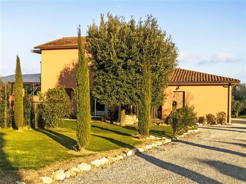 Sommerhus - 4 personer -  - Castiglion Fiorentino - 52043