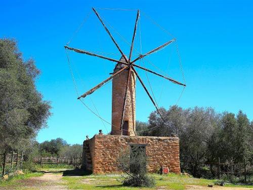 Holiday home - 8 persons -  - 07459 - Son Serra De Marina