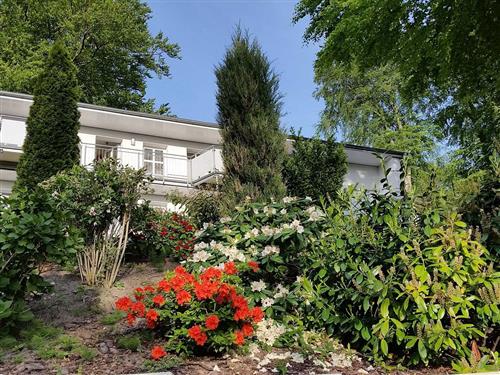 Ferienhaus - 3 Personen -  - Talstraße - 17424 - Heringsdorf (Seebad)