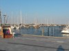 Billede 16
