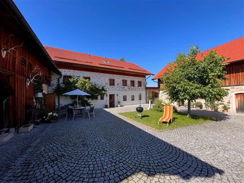 Ferienhaus - 8 Personen -  - Rutzenmoos - 4845