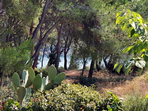 Feriehus / leilighet - 7 personer -  - Mudri Dolac - 21462 - Mudri Dolac