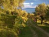 Image 20 - Outside