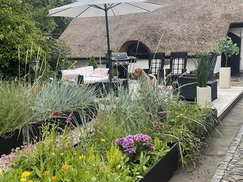 Sommerhus - 6 personer -  - Bjerregårdvej - 6990 - Ulfborg
