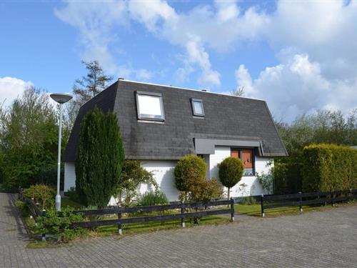 Ferienhaus - 6 Personen -  - 4538HV - Breskens