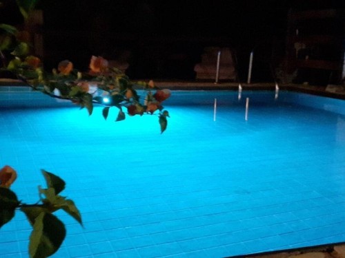 Villa - 5 persons -  - 07041 - Alghero