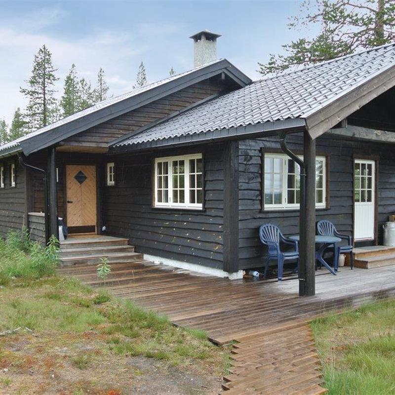 Sommerhus - 8 personer -  - Renåtangen - 2485 - Rendalen