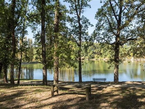 Semesterlägenhet - 6 personer -  - 47150 - Monflanquin