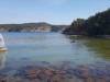 Billede 6 - Udsigt over vand