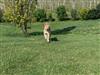 Bild 21 - Aussen