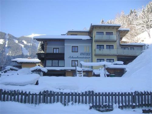 Sommerhus - 4 personer -  - Schmittenstraße - 5700 - Zell Am See