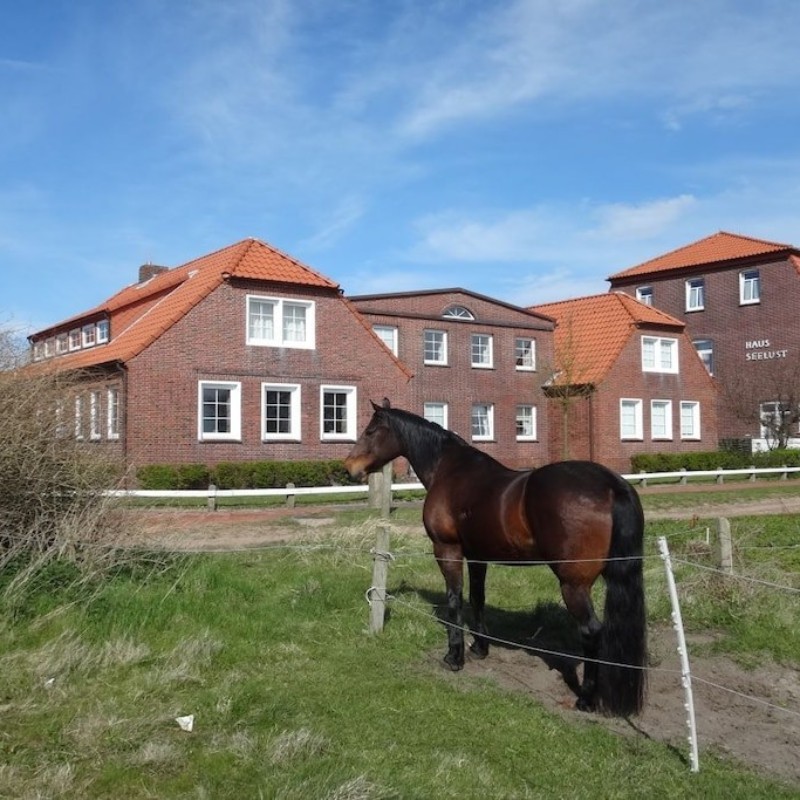 Sommerhus - 2 personer -  - 26571 - Juist