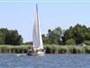 Billede 28