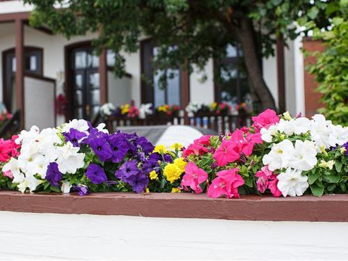 Ferienwohnung - 4 Personen -  - Sandwall - 25938 - Wyk