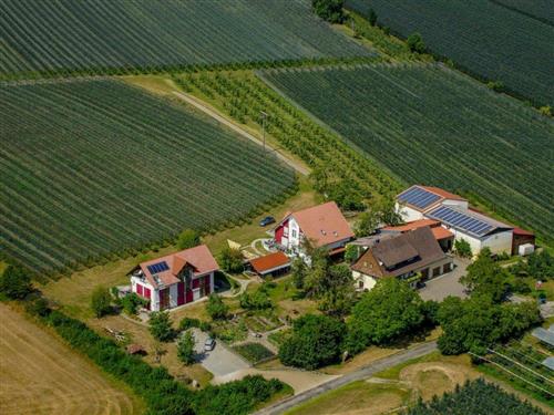 Ferieleilighet - 3 personer -  - Bamberger Str. - 88662 - Überlingen, Lippertsreute