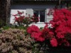 Image 14