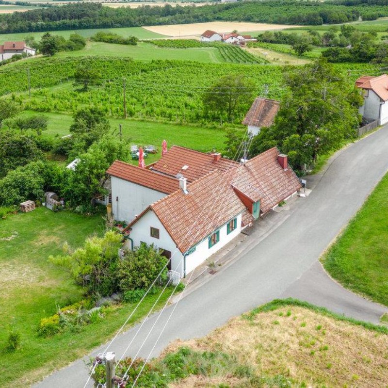 Sommerhus - 4 personer -  - Mitterbergweg - 7471 - Rechnitz