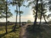 Billede 9