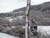 Bilde 8