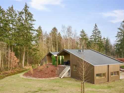 Sommerhus - 12 personer -  - Moraineweg 20 - - 9417 TB - Spier