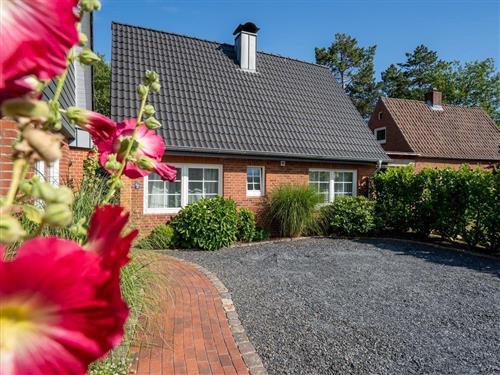 Feriehus / leilighet - 4 personer -  - Böhler Landstraße - 25826 - St. Peter-Ording