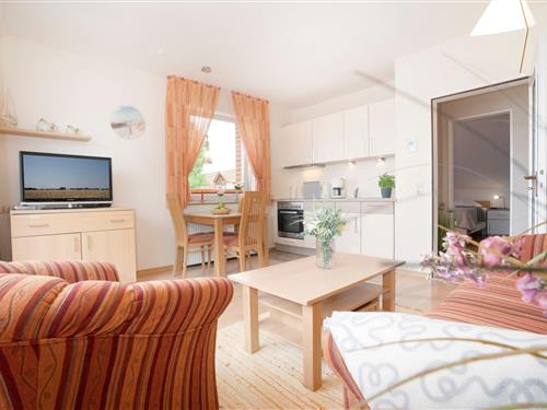 Holiday apartment - 3 persons -  - Amselweg - 23746 - Kellenhusen