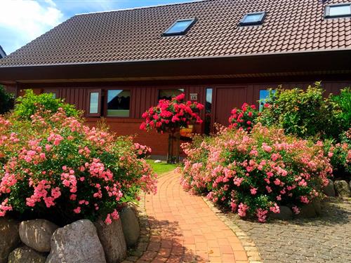 Ferieleilighet - 2 personer -  - Wollinweg - 23769 - Fehmarn Ot Burg