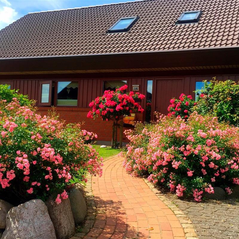 Ferielejlighed - 2 personer -  - Wollinweg - 23769 - Fehmarn Ot Burg