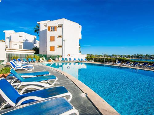 Ferieleilighet - 4 personer -  - 07400 - Alcúdia