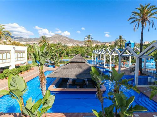 Holiday apartment - 4 persons -  - AVENIDA DEL PARQUE - 29630 - Benalmádena