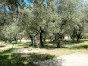 Image 26 - Outside