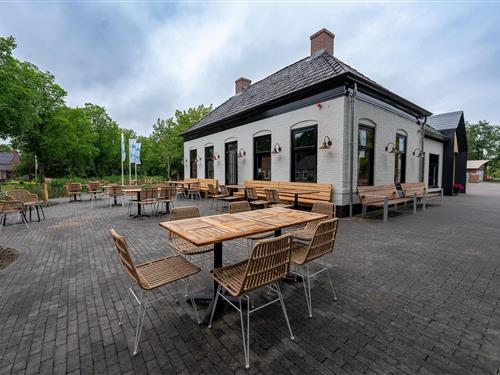 Tent lodge - 6 persons -  - 9975VR - Vierhuizen