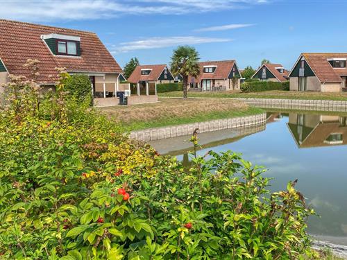 Feriehus / leilighet - 4 personer -  - Hof van Zeeland - Hof Van Zeeland - 4451 RS - Heinkenszand