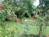 Bild 22