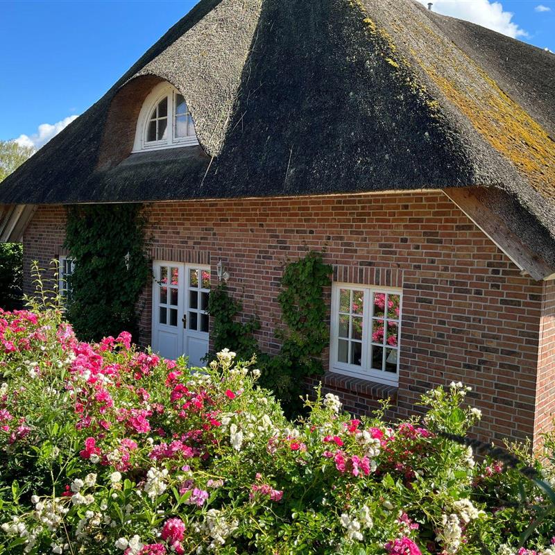 Ferielejlighed - 6 personer -  - Fischkaten - 23970 - Wismar