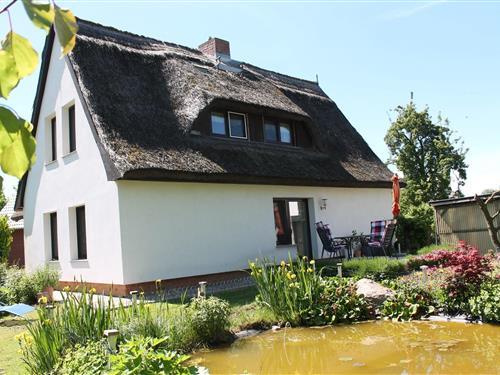 Feriehus / leilighet - 4 personer -  - 18233 - Pepelow