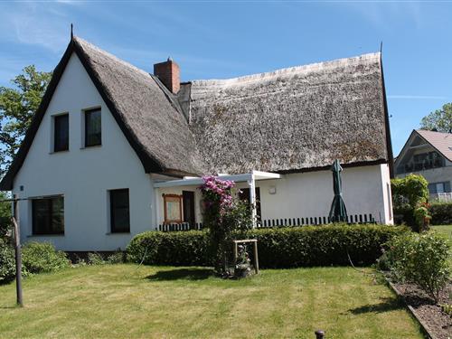 Ferieleilighet - 4 personer -  - 18233 - Pepelow