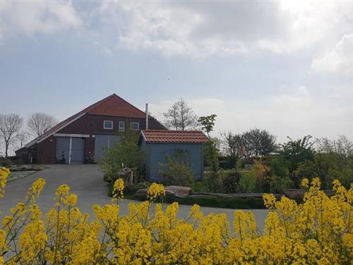 Holiday Home/Apartment - 4 persons -  - 26409 - Wittmund