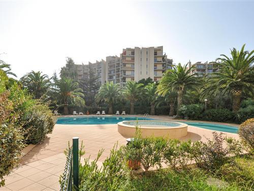 Semesterlägenhet - 3 personer -  - Allée Jacques Cartier - 06210 - Mandelieu-La-Napoule