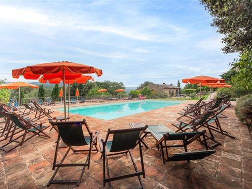 Ferielejlighed - 4 personer -  - Localitá Le Mascie - 53031 - Casole D'elsa