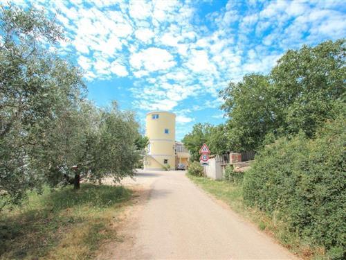 Holiday Home/Apartment - 2 persons -  - Fermici - 52466 - Novigrad